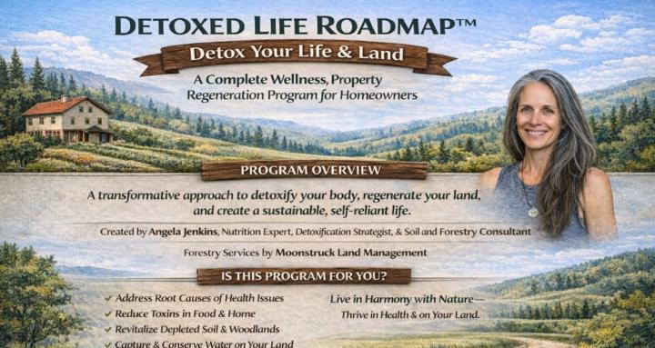 Detoxed Life Roadmap