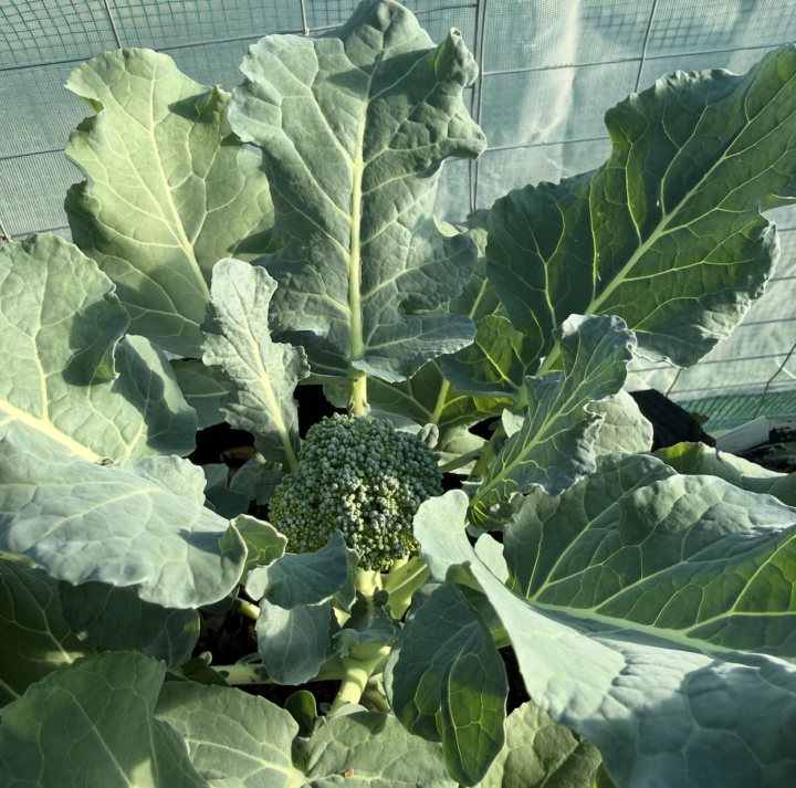 🌟 Welcome New Members!