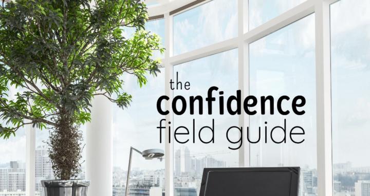 The Confidence Field Guide