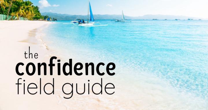 The Confidence Field Guide