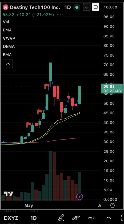Hidden Gem? $DXYZ