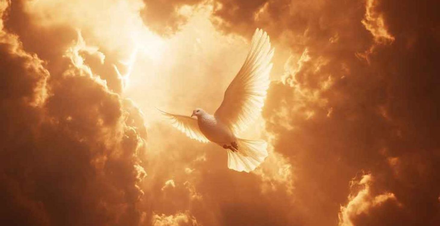 SPIRITUAL WOUNDED WARRIORS