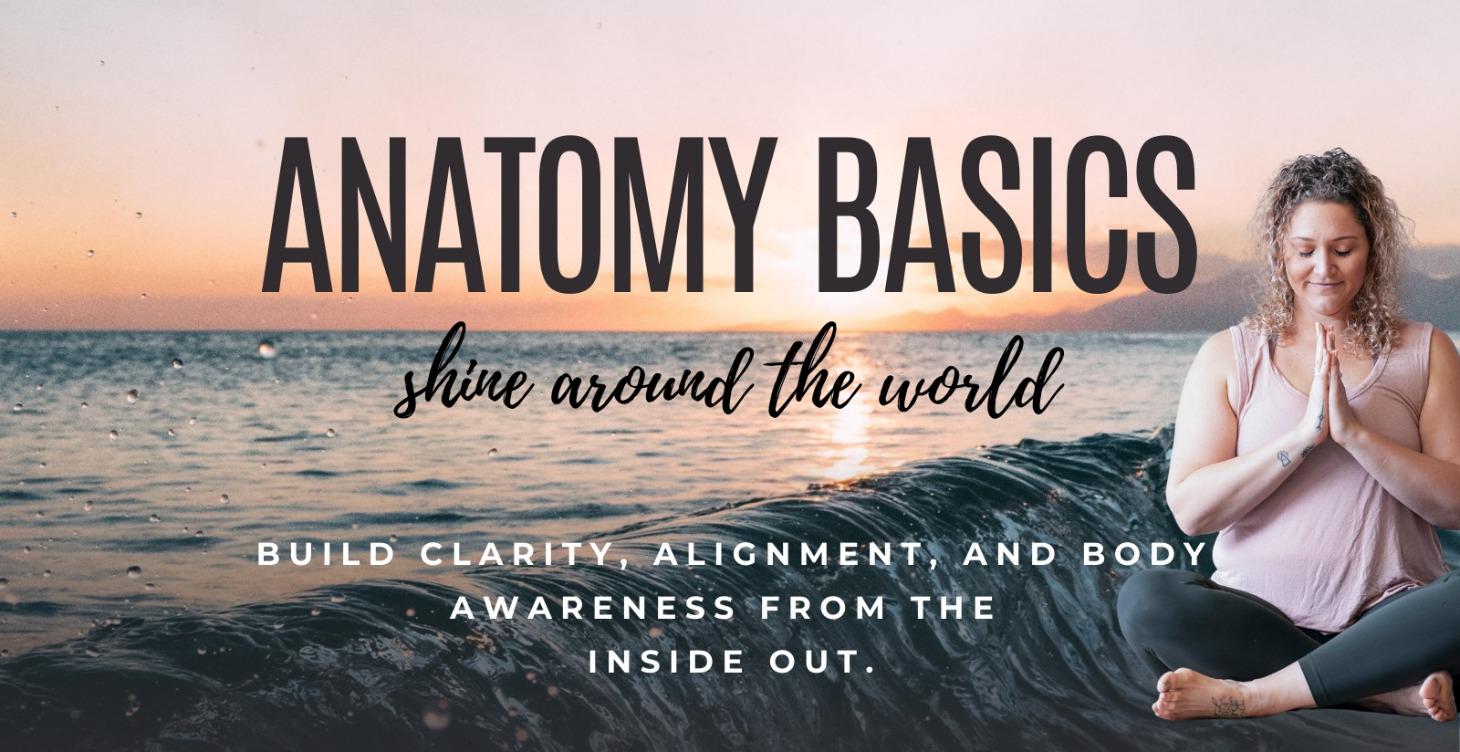 Anatomy Basics