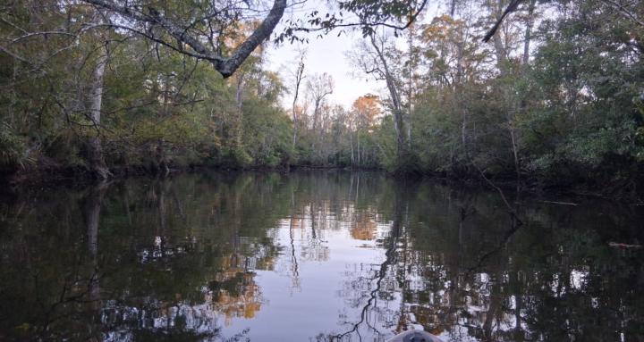 Spiritual Growth Collective