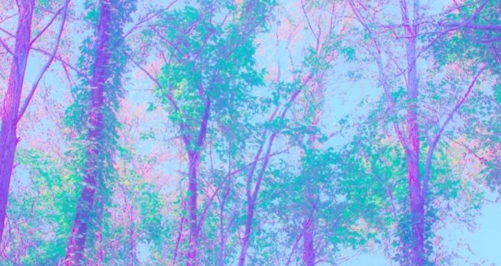 Reclaim  Your Soul's Magic