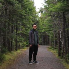 Ankit Shrestha