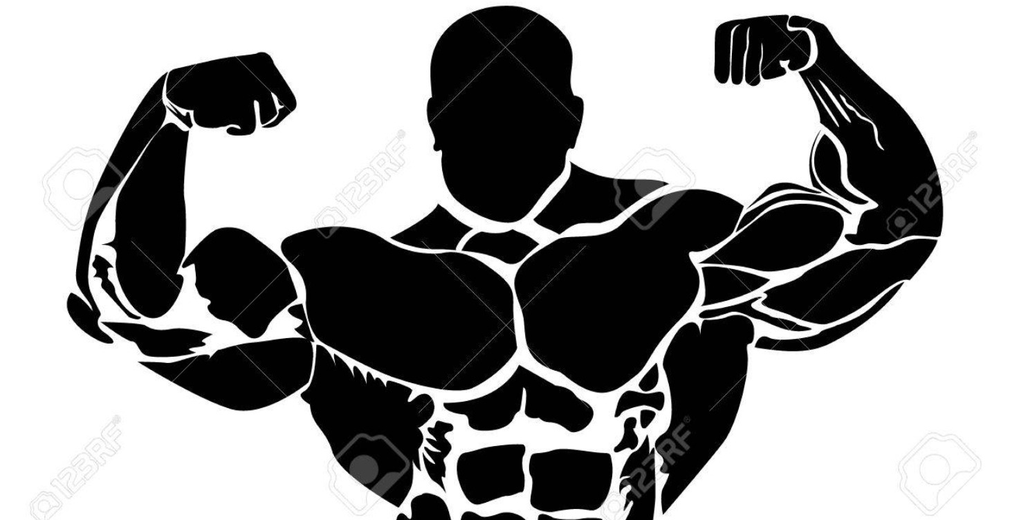 Muscle Gain