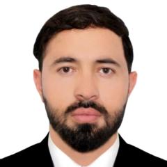 Abdul Wali Danish