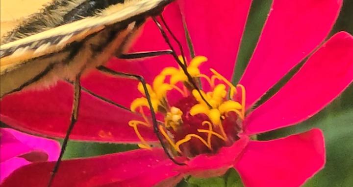 Start with a Seed Garden Club