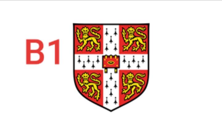 Smart Academy (CAMBRIDGE B1)