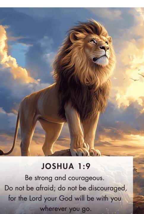 Moving forward without fear