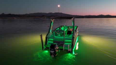 Tiny Boat Nation gallery image