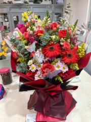 Rocio Dominguez lopez