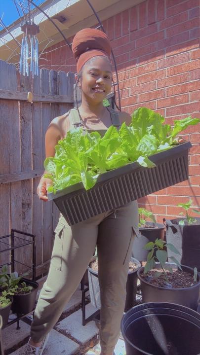 Garden Didn’t Miss A Beat