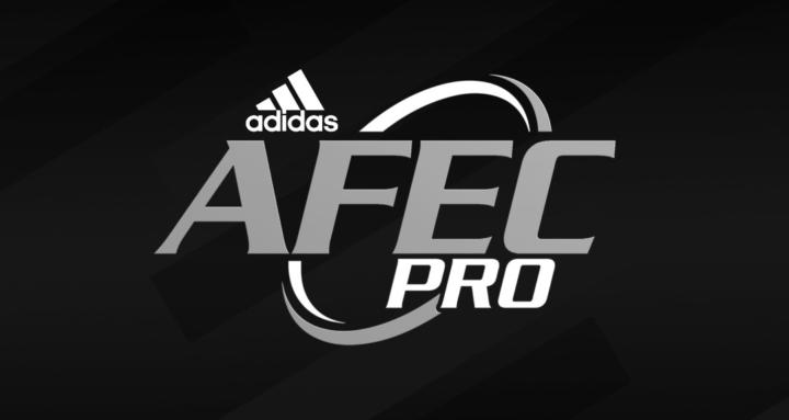 AFEC-Pro