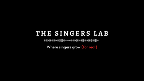 The Singers Lab gallery image
