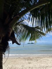 Andrea Windpassinger