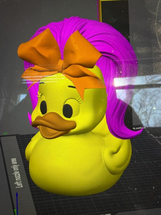Danni-Duck with paint !