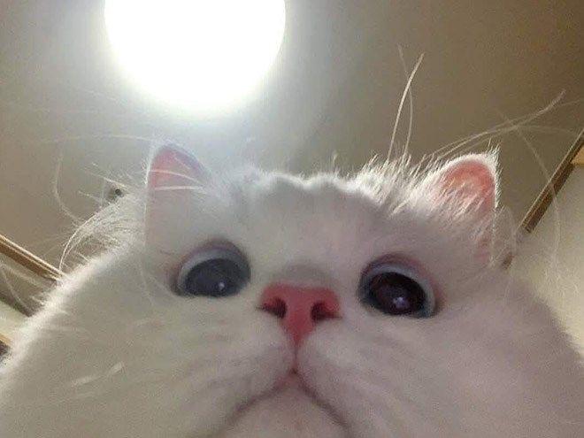 Дөлгөөн Отгонбаатар