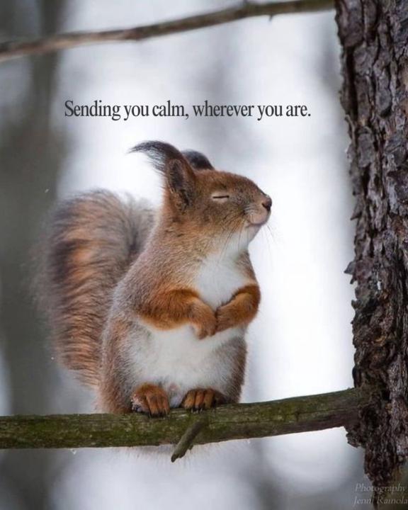 ✨️ Sending You A Moment Of Calm ✨️