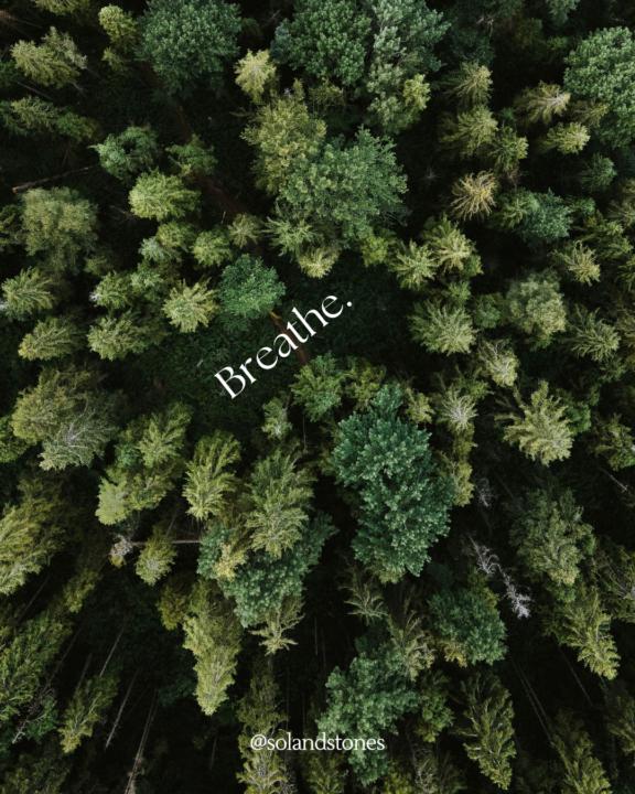 🌬 Breathe 🌬