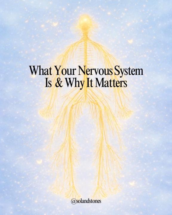 What Your Nervous System Is & Why It Matters
