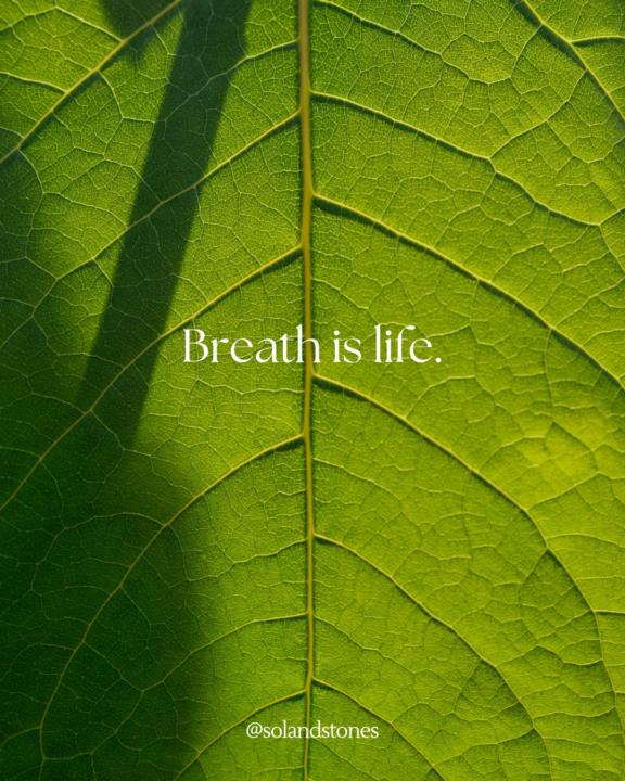 🌿 Breath Is Life 🌿