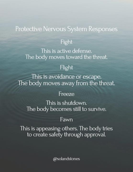 🌿 Protective Nervous System Responses 🌿