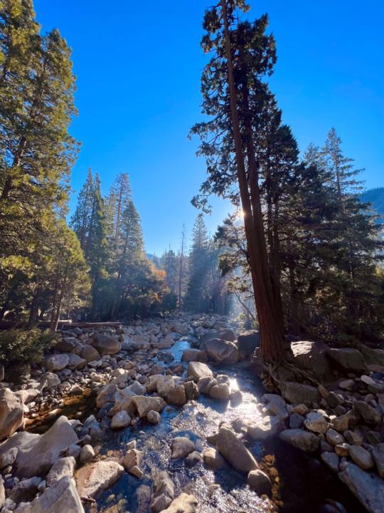 Maxime Bouvier Ogier