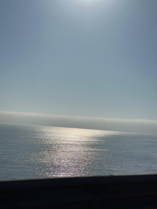 Guadalupe Martinez