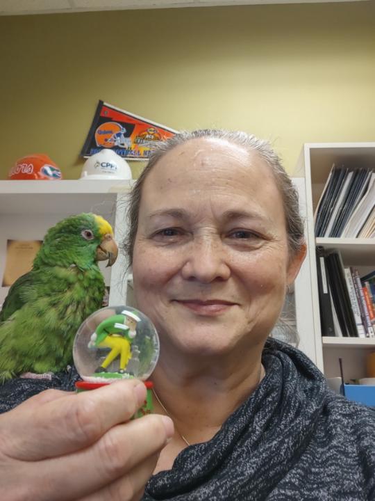 Lisa Palumbo-Smith