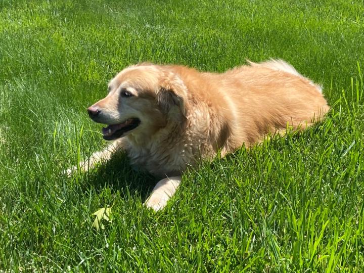 Kathleen Walkenhorst