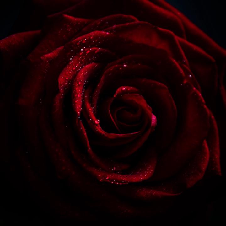 Leanne Juliette TEST