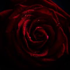 Leanne Juliette TEST