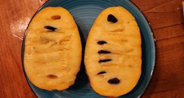 Pawpaw Cultivation Sanctuary