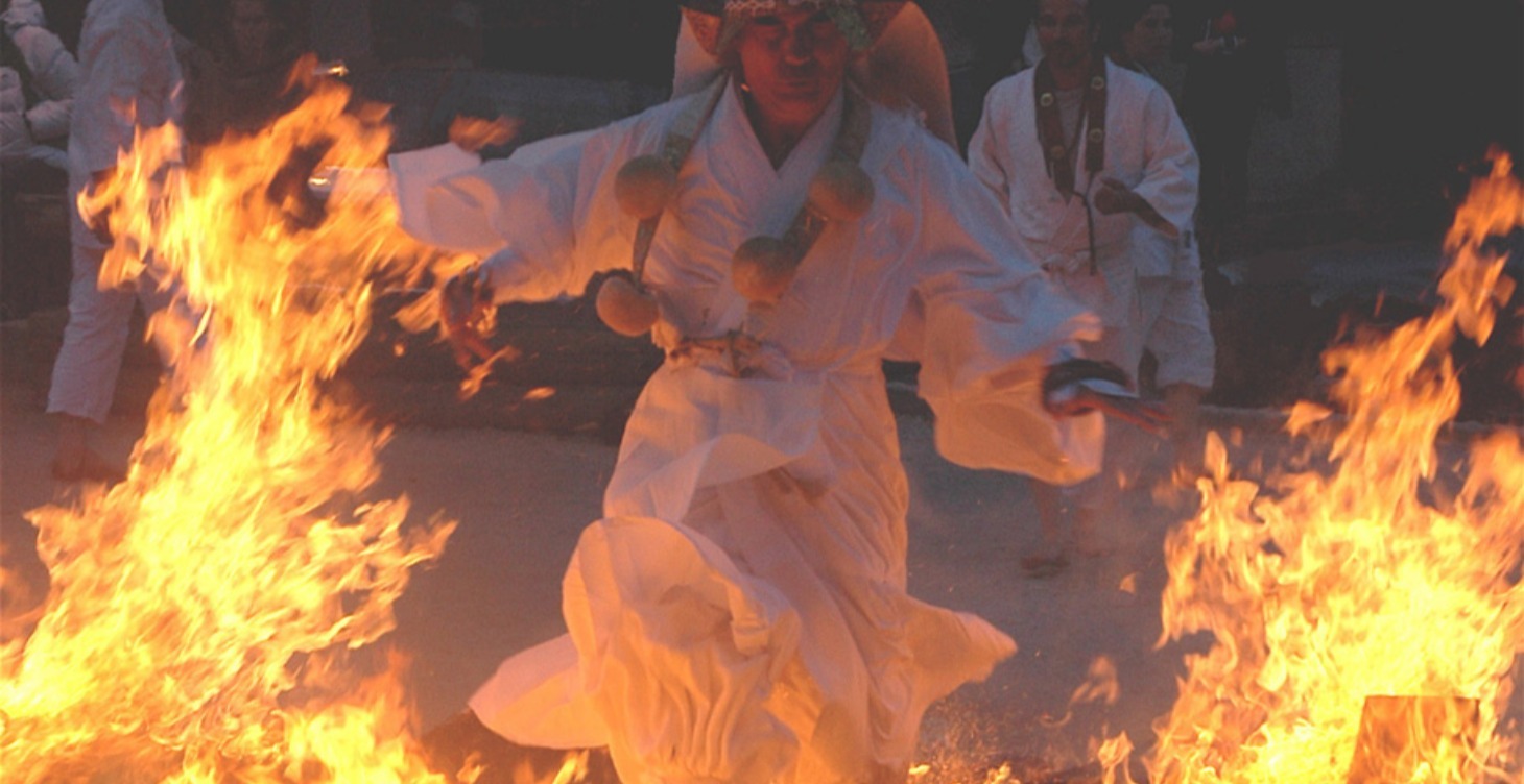 Ninja Pain Control — Green Belt