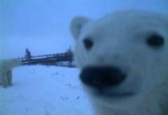 Rogan Skutca