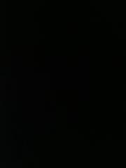 Andjelija Stevanovic