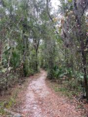 Adventuring Lakeland