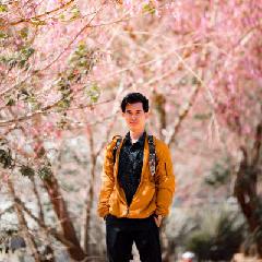 Tin Pham