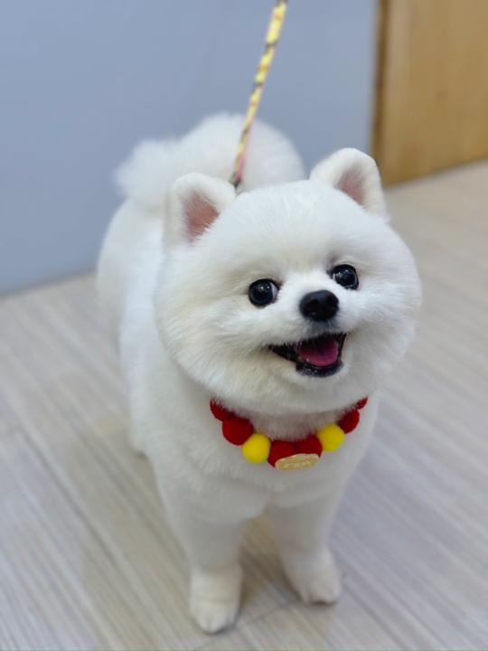 Chen Meng de