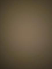 Blank Blank