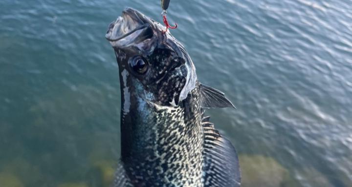 Fishingisfun