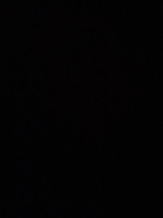 Lu Lu