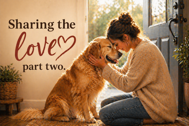 Sharing the Love Part Two