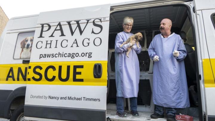 PAWS Chicago