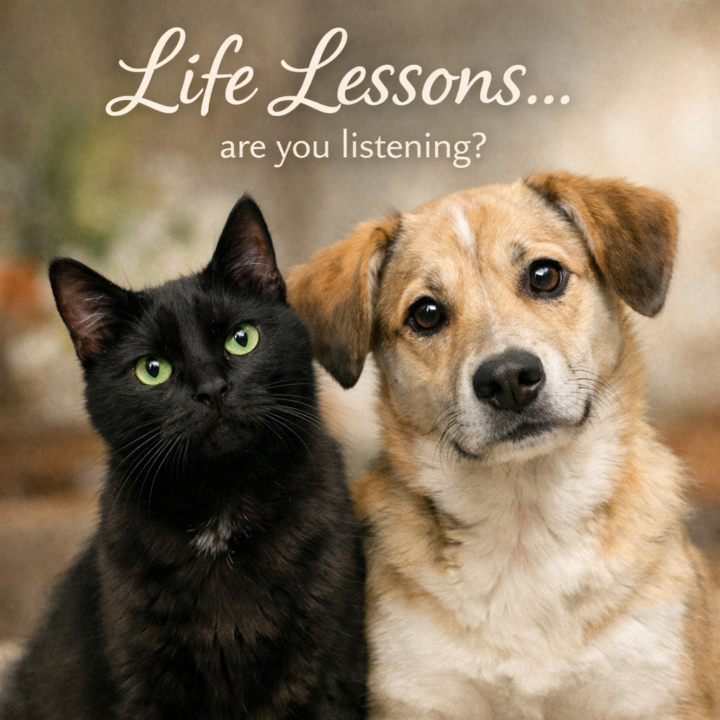 Are animals life coaches? 👀