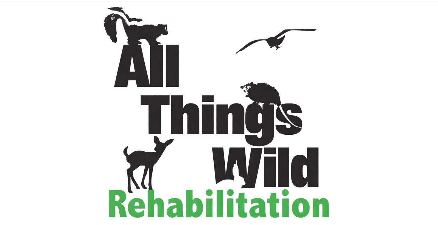 All Things Wild – Wildlife Rescue & Rehab