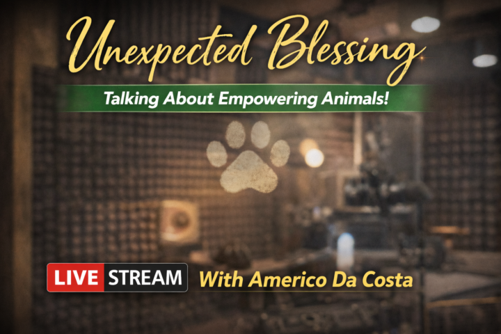 Unexpected Blessing