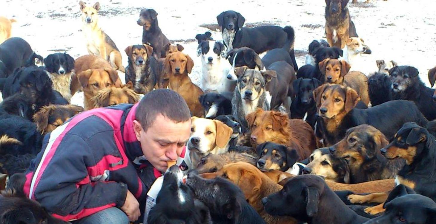 Harmony Fund – Worldwide Animal Rescue & Aid